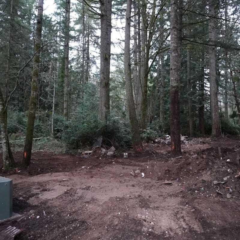 after demolition after demolition