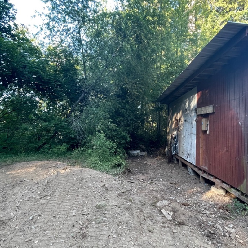 Image of trees and a house on a side