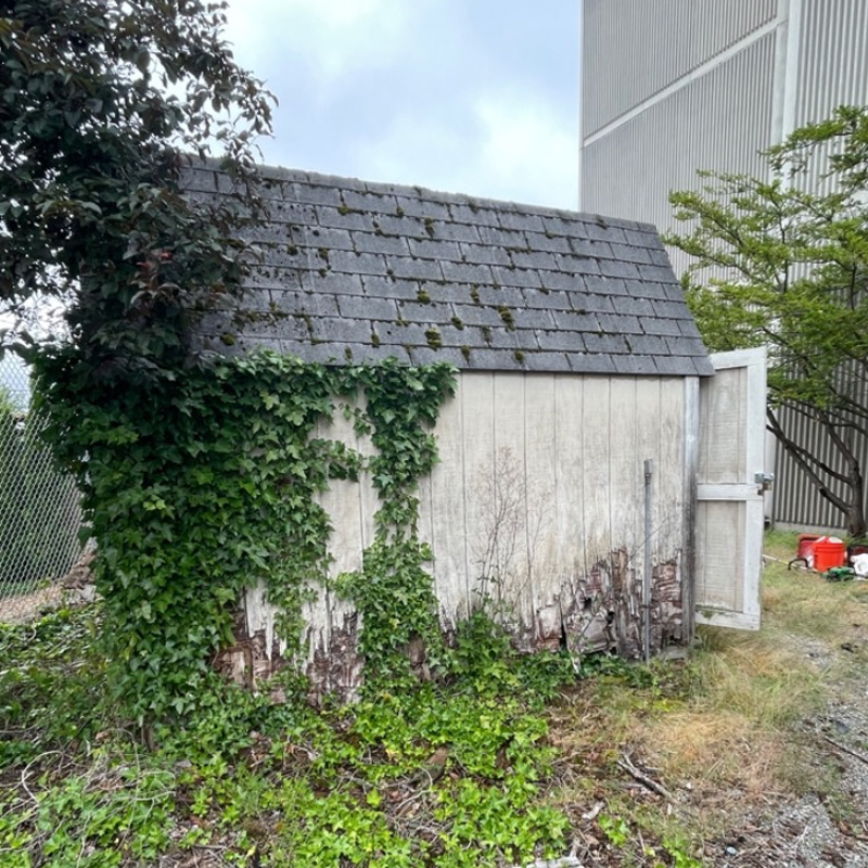 shed removal